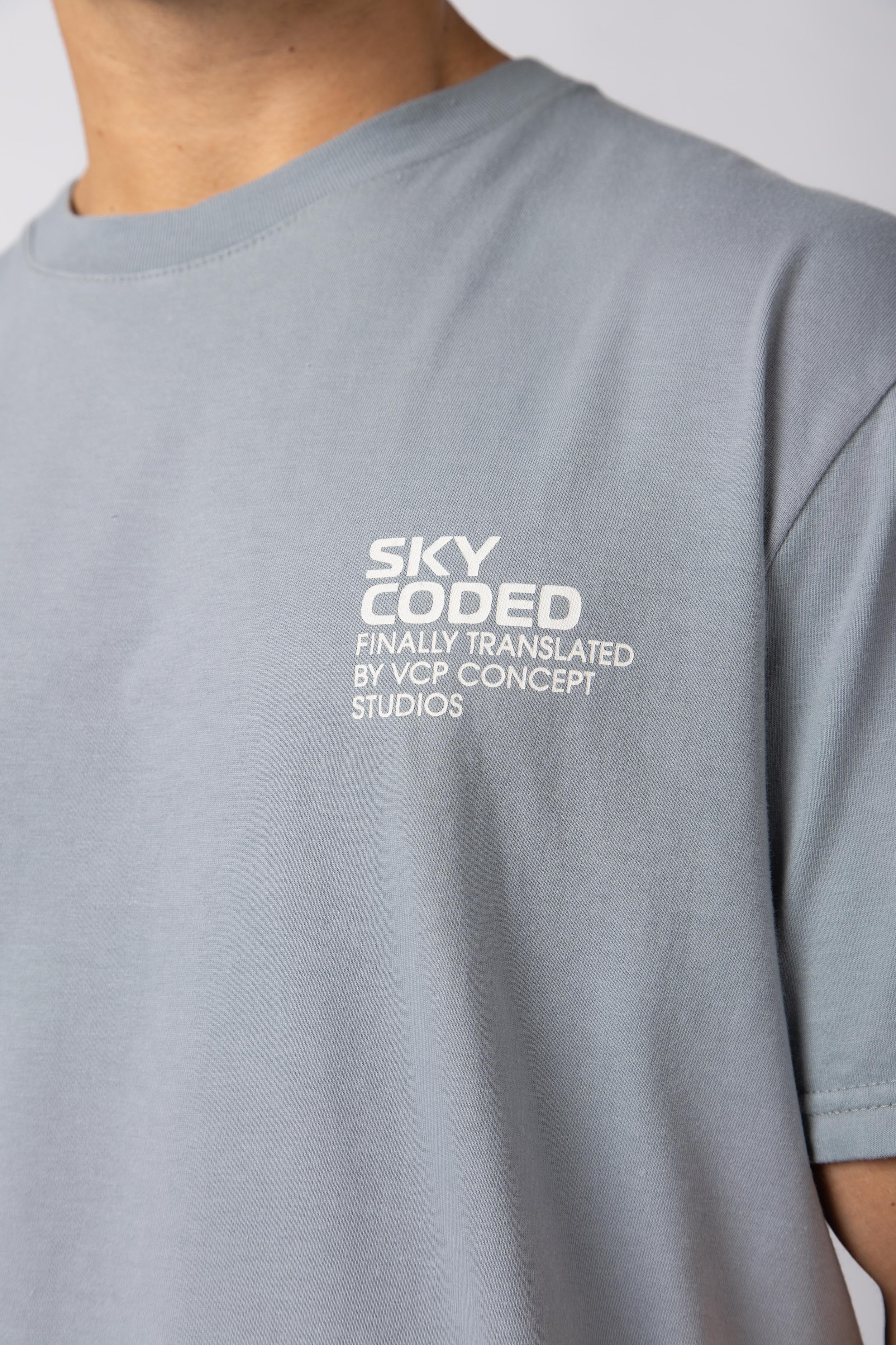 Remera RGL Decoded Stone