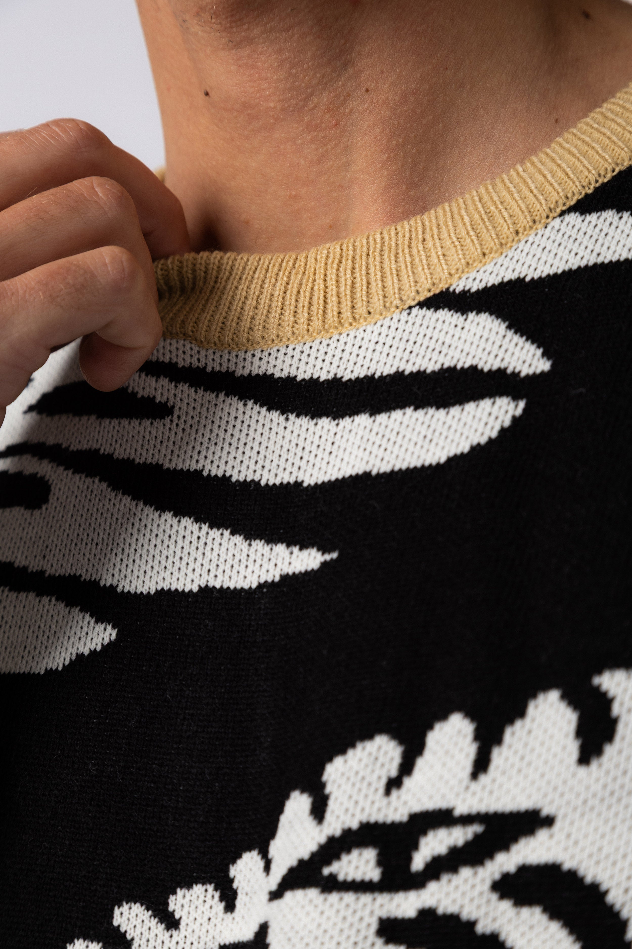 Sweater Over Felino