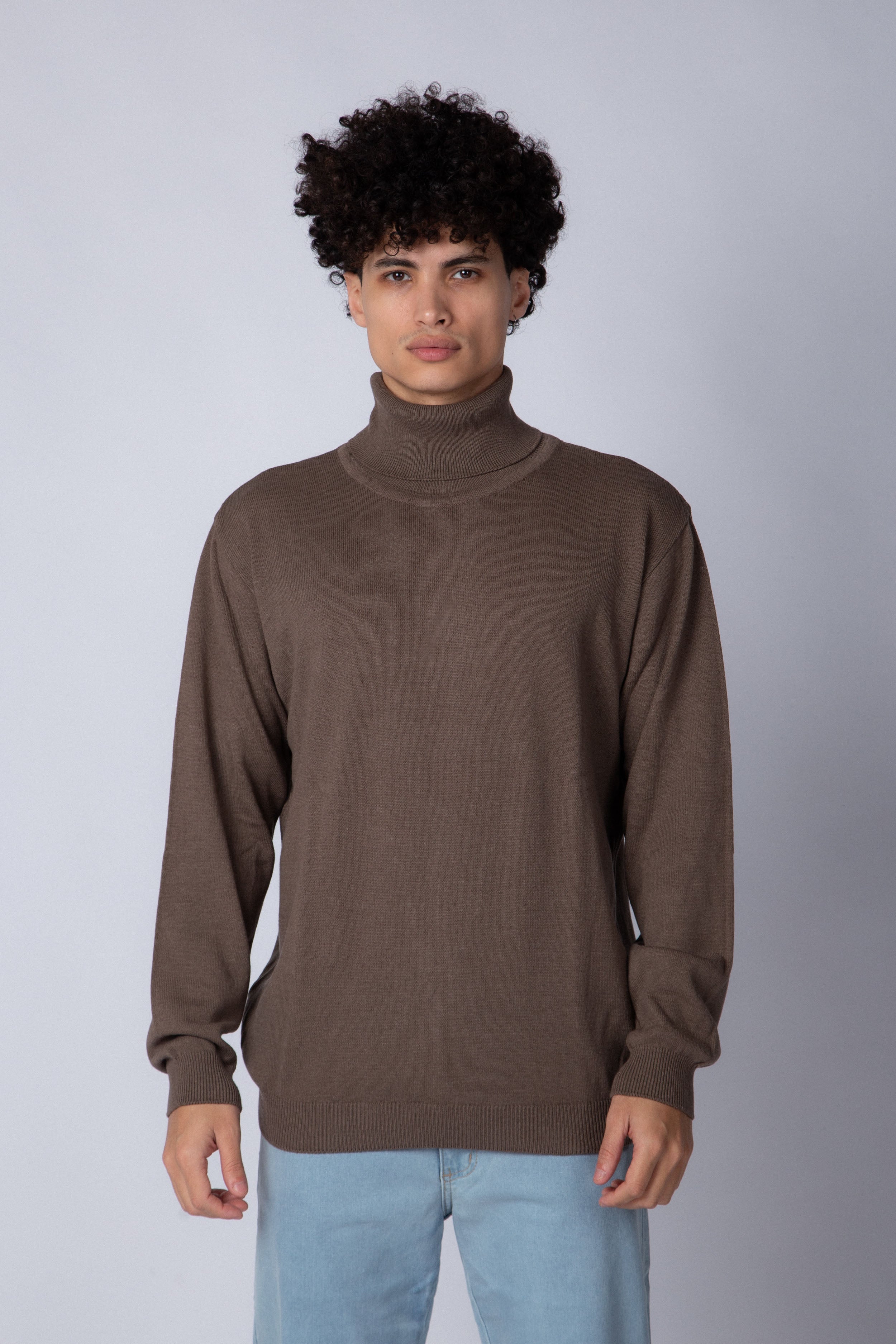 Sweater Polera Paul Vizon