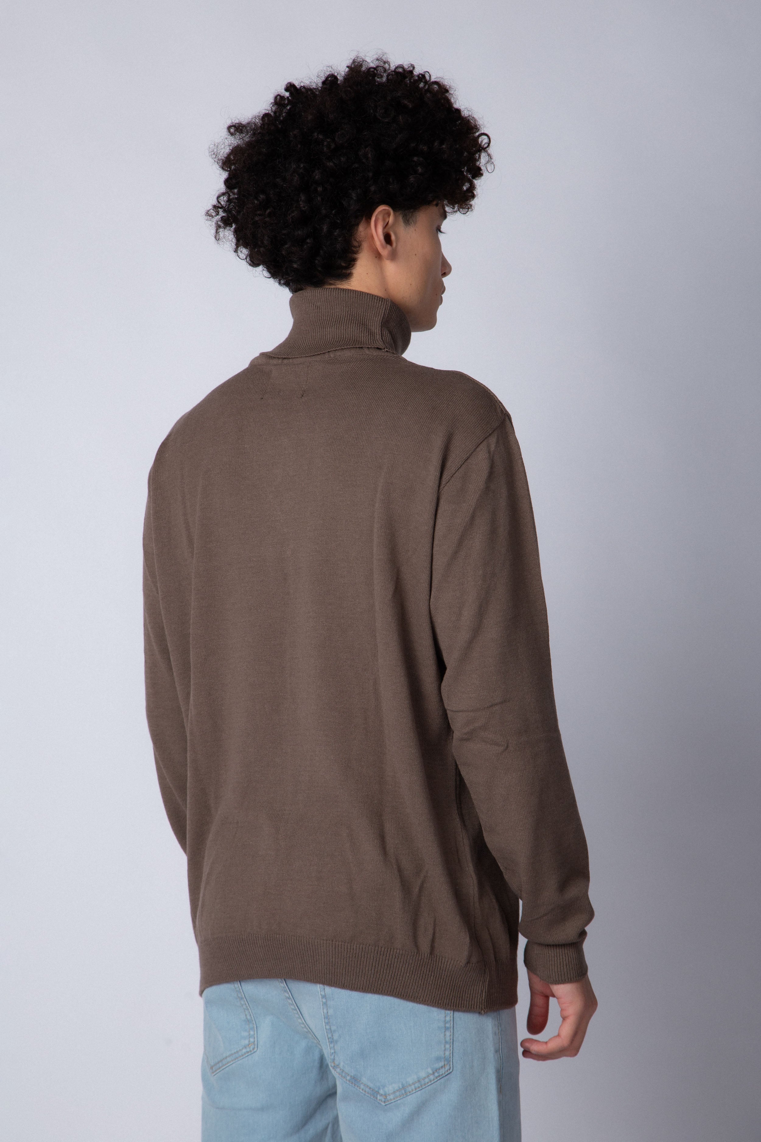 Sweater Polera Paul Vizon