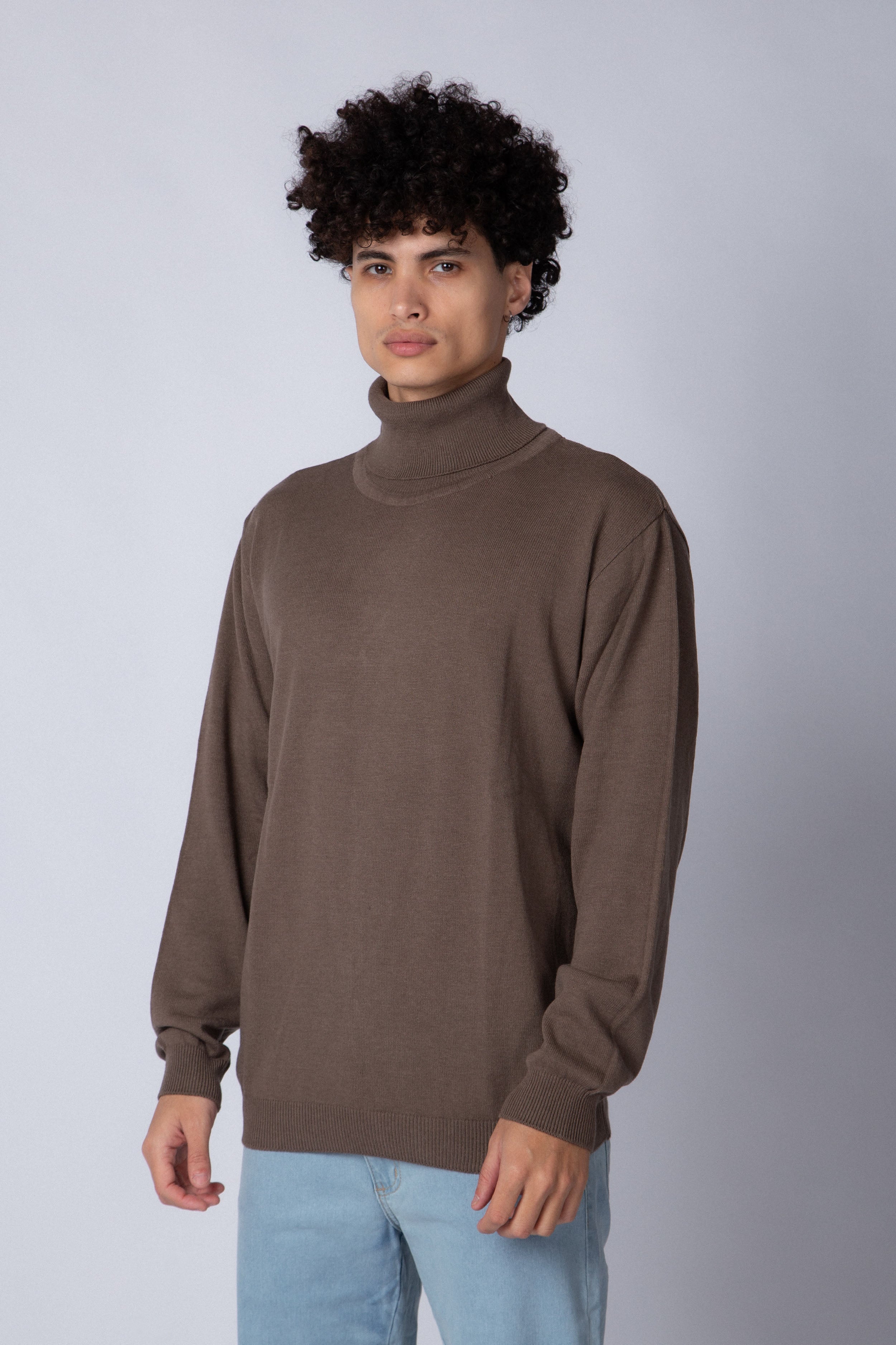 Sweater Polera Paul Vizon