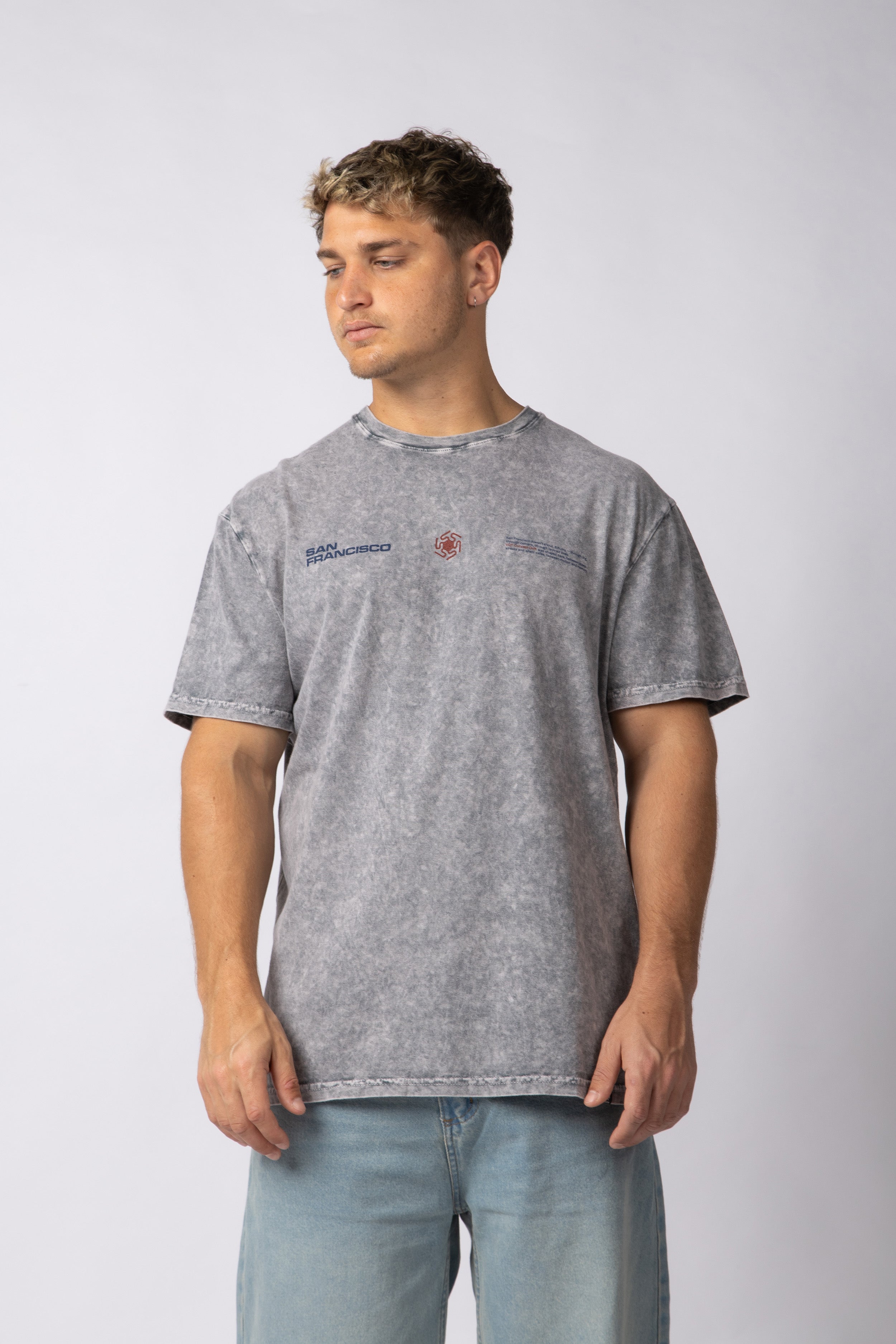 Remera DB Francisco Gris