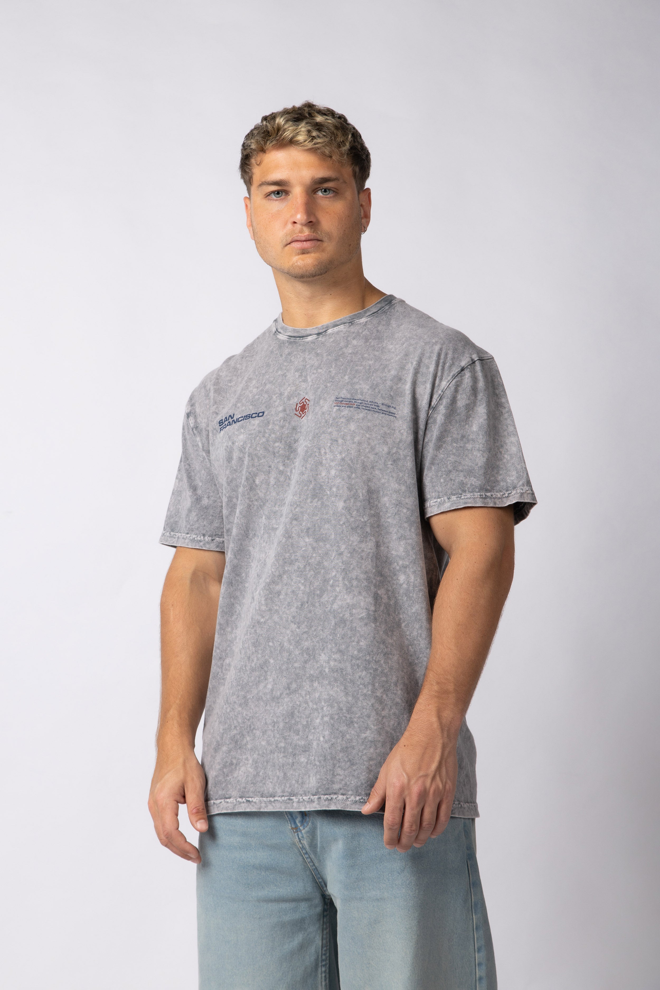 Remera DB Francisco Gris