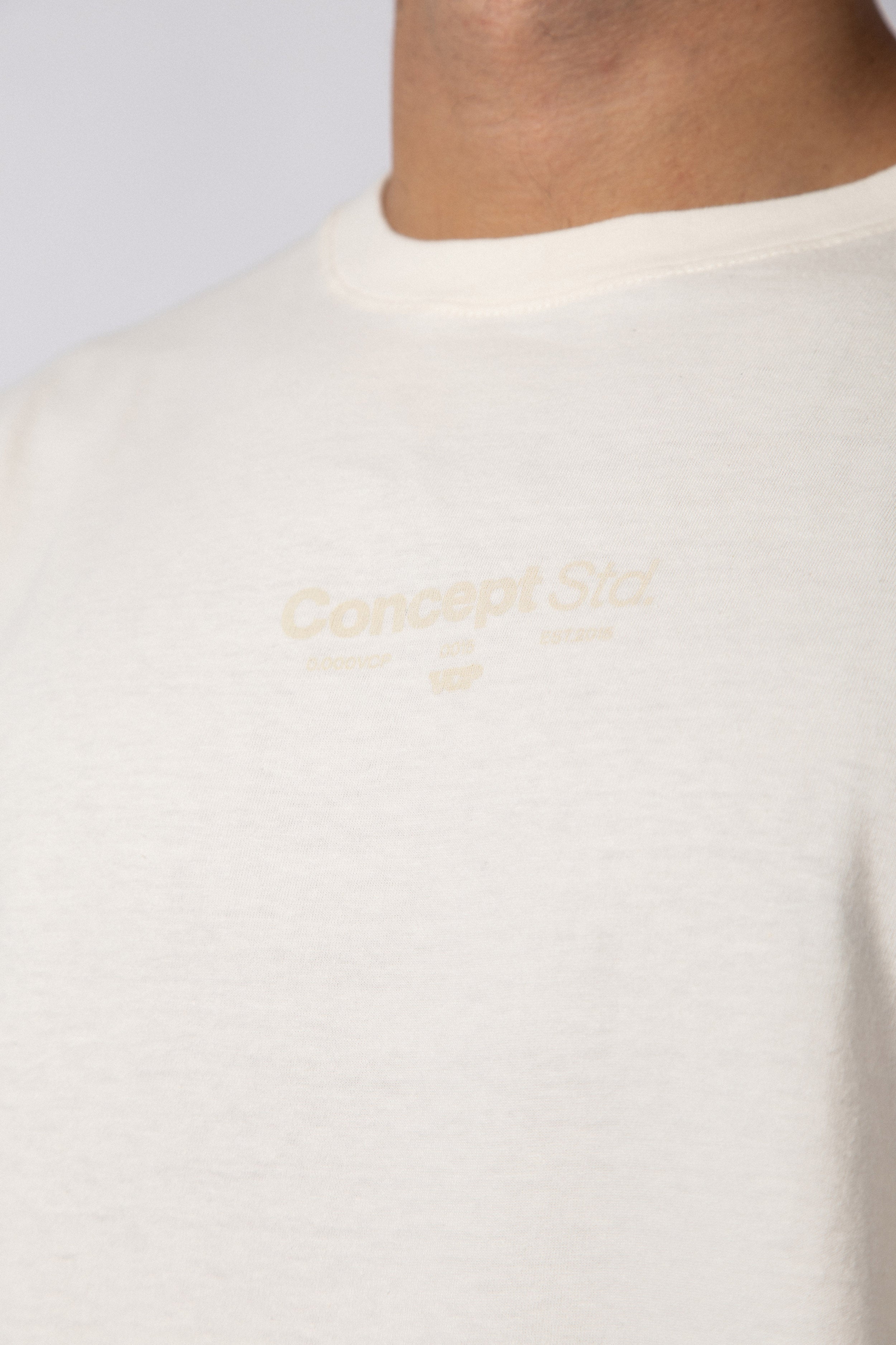 Remera RGL STD Crudo