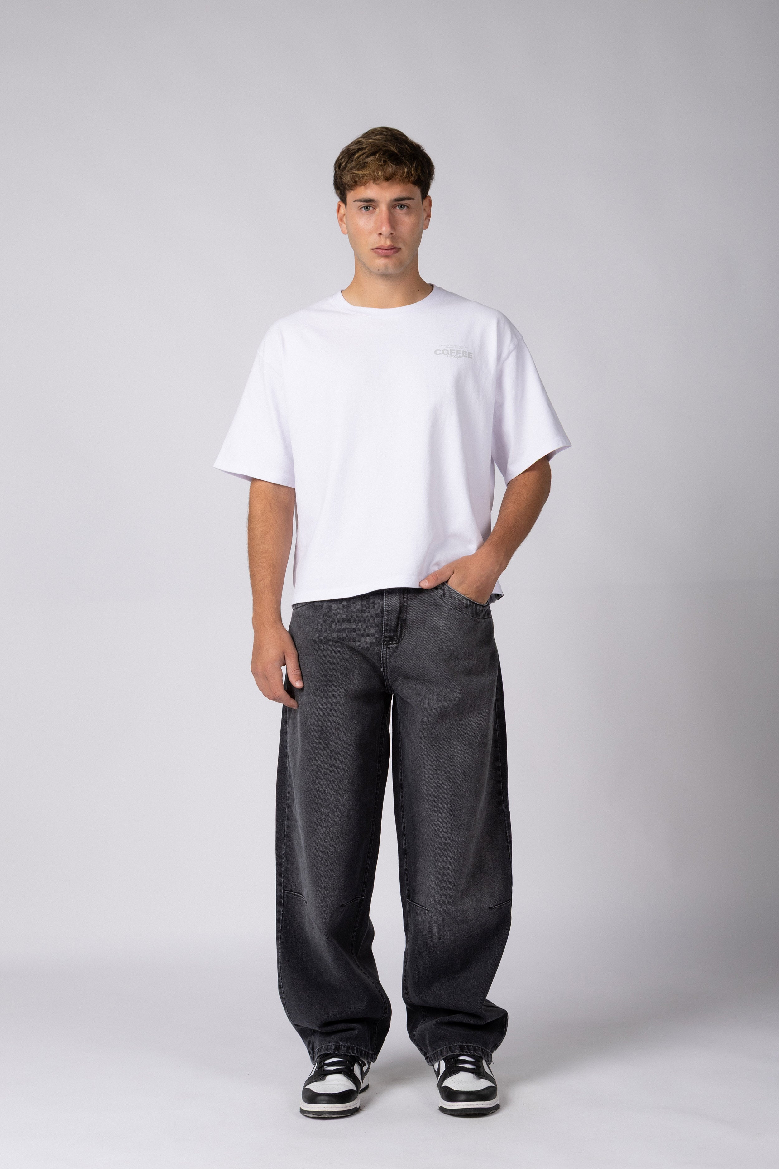 Jean Baggy Frox Stone